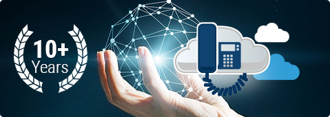 VoIP Services 10+ Years of Experience